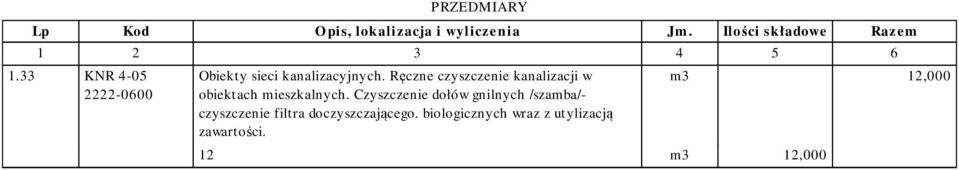 Czyszczenie dołów gnilnych /szamba/- czyszczenie filtra