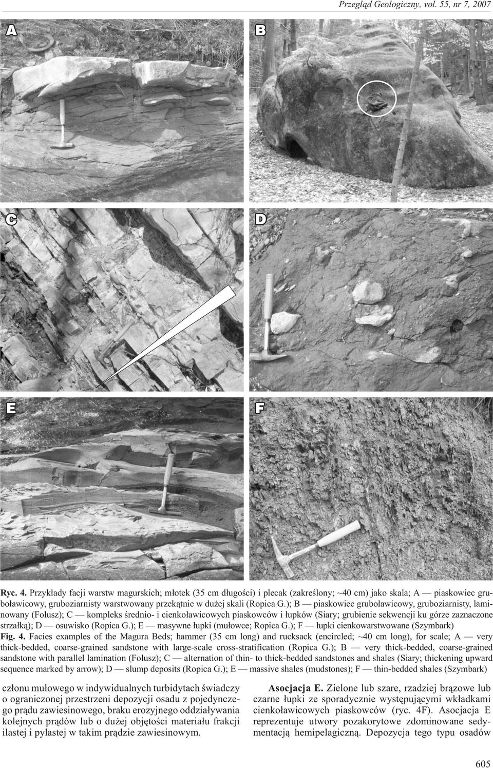 ); B piaskowiec grubo³awicowy, gruboziarnisty, laminowany (Folusz); C kompleks œrednio- i cienko³awicowych piaskowców i ³upków (Siary; grubienie sekwencji ku górze zaznaczone strza³k¹); D osuwisko