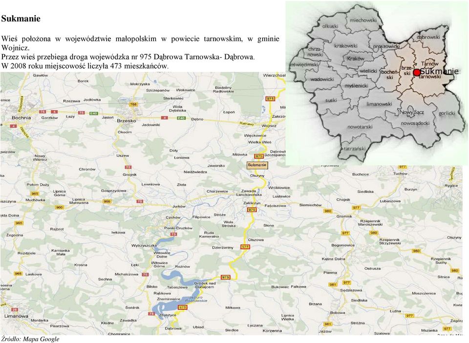 Przez wieś przebiega droga wojewódzka nr 975 Dąbrowa