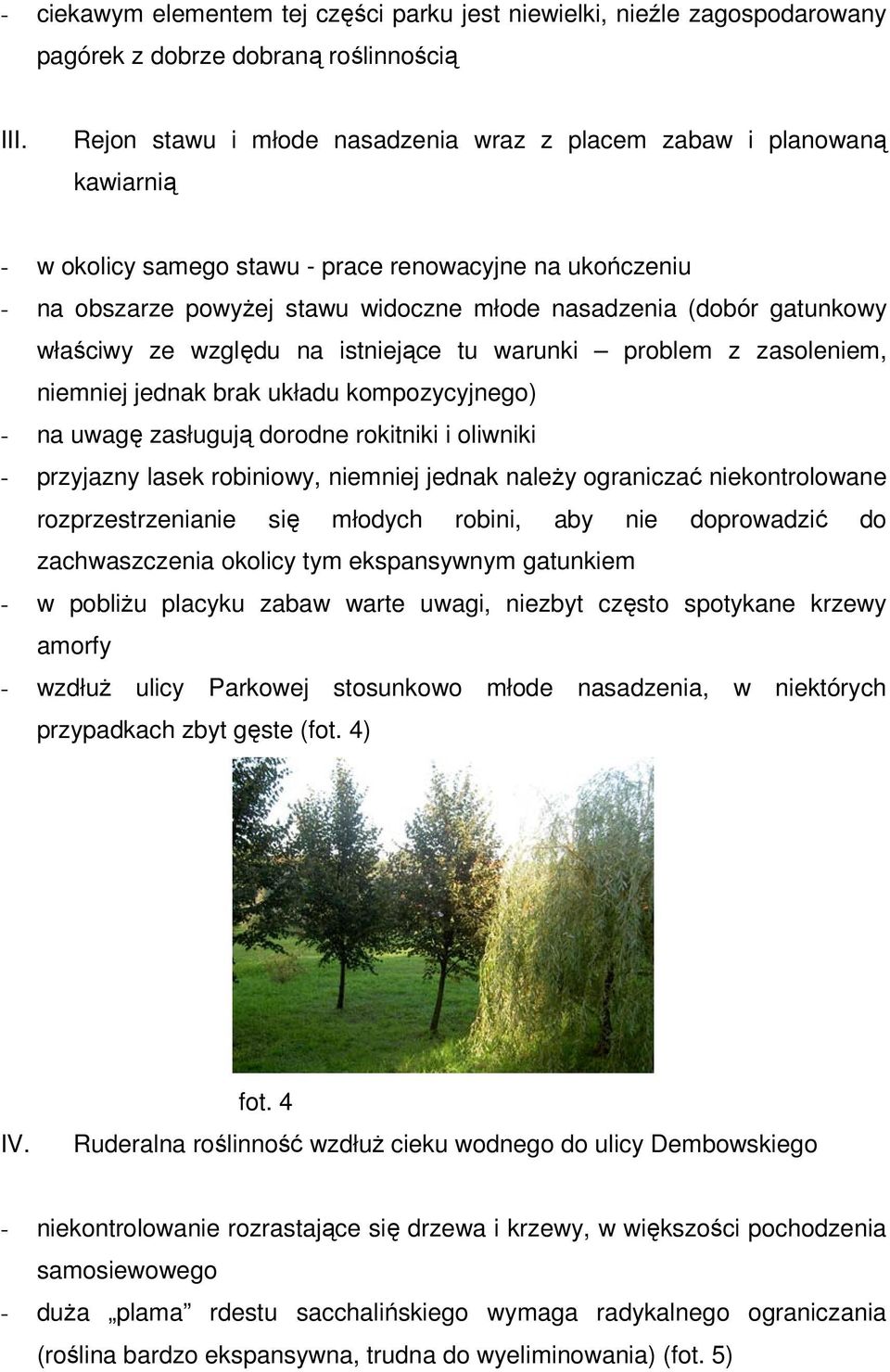 gatunkowy właściwy ze względu na istniejące tu warunki problem z zasoleniem, niemniej jednak brak układu kompozycyjnego) - na uwagę zasługują dorodne rokitniki i oliwniki - przyjazny lasek robiniowy,