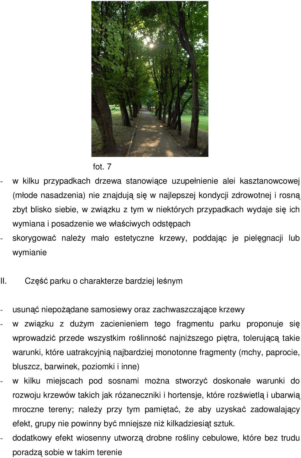 Część parku o charakterze bardziej leśnym - usunąć niepożądane samosiewy oraz zachwaszczające krzewy - w związku z dużym zacienieniem tego fragmentu parku proponuje się wprowadzić przede wszystkim