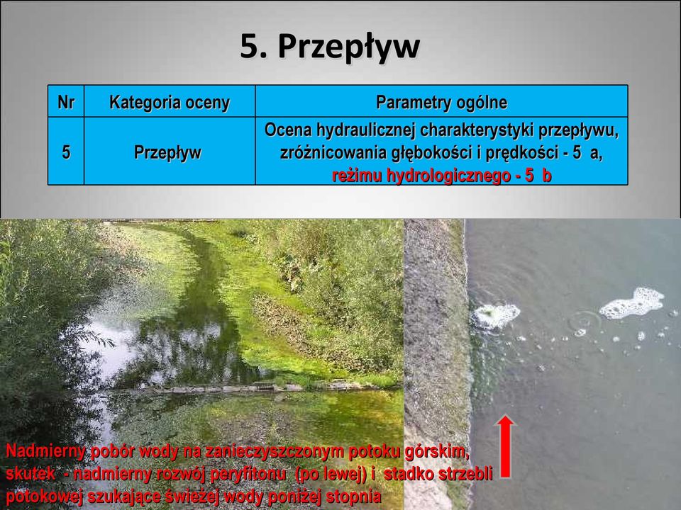 hydrologicznego - 5 b Nadmierny pobór wody na zanieczyszczonym potoku górskim, skutek -