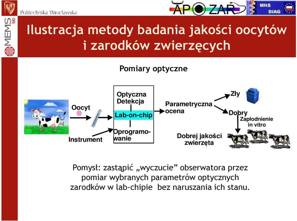 jakości zwierzęta Zły Dobry Zapłodnienie in vitro Pomysł: zastąpić wyczucie obserwatora