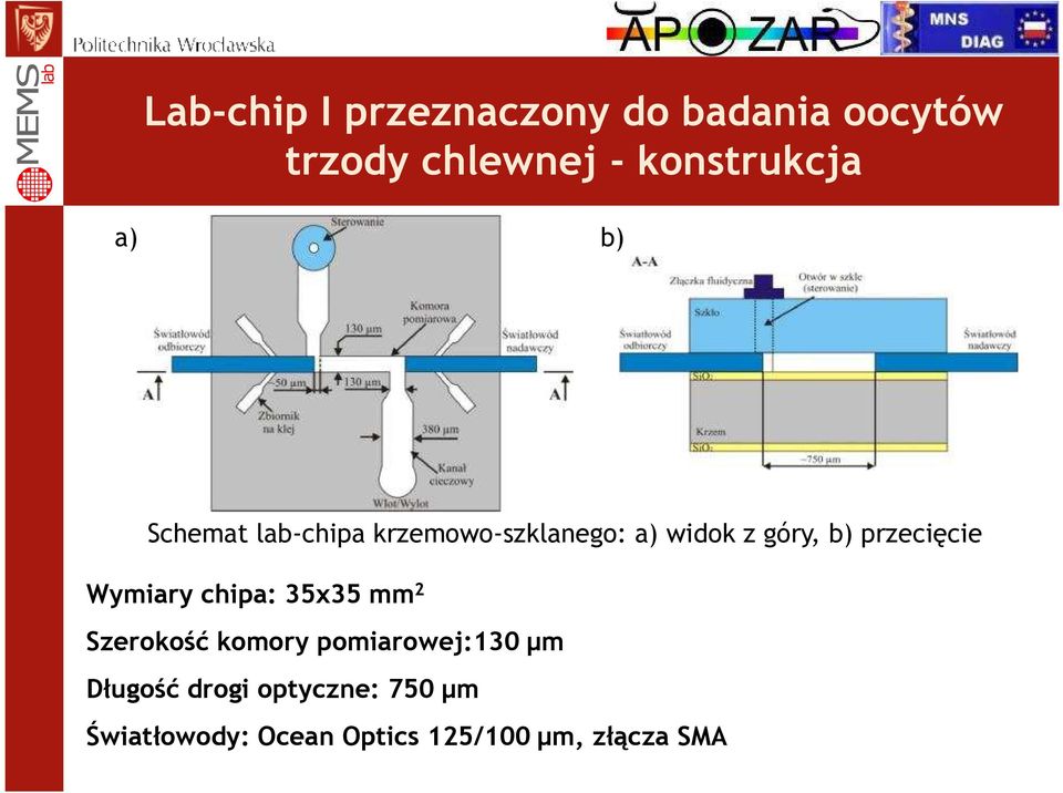 góry, b) przecięcie Wymiary chipa: 35x35 mm 2 Szerokość komory