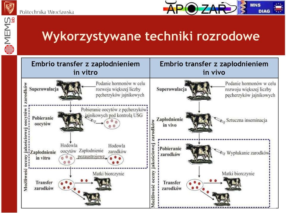 zapłodnieniem in vitro