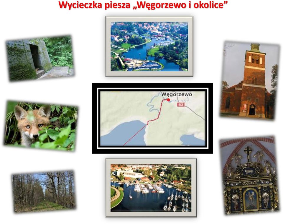 Węgorzewo