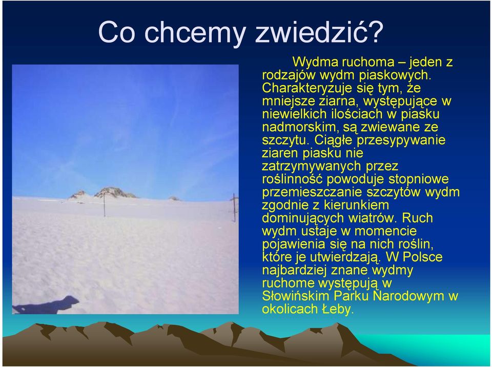 Ciągłe przesypywanie ziaren piasku nie zatrzymywanych przez roślinność powoduje stopniowe przemieszczanie szczytów wydm zgodnie z