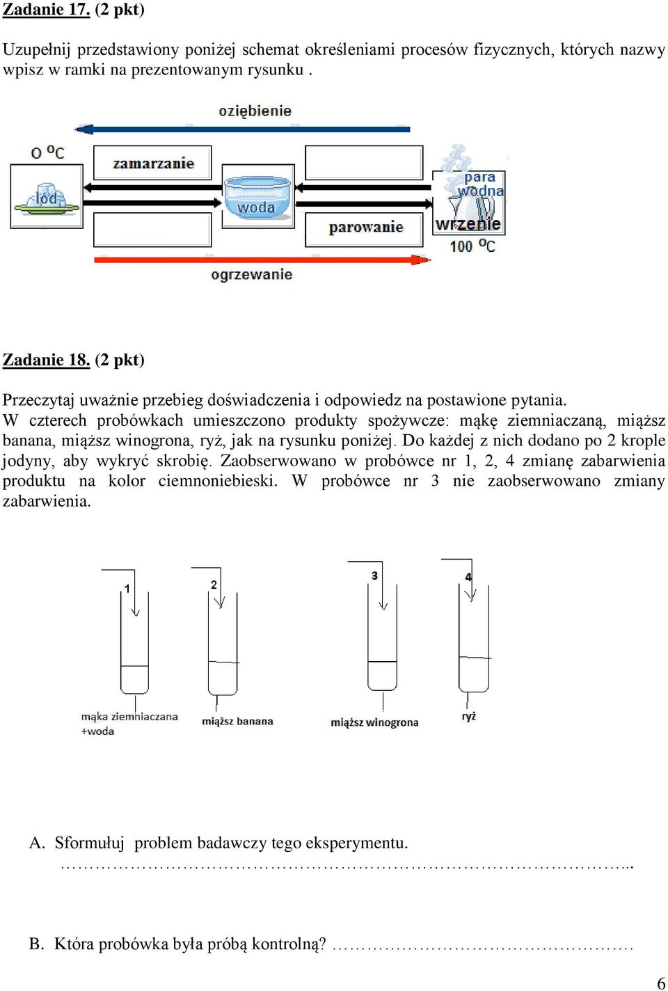 W czterech probówkach umieszczono produkty spożywcze: mąkę ziemniaczaną, miąższ banana, miąższ winogrona, ryż, jak na rysunku poniżej.