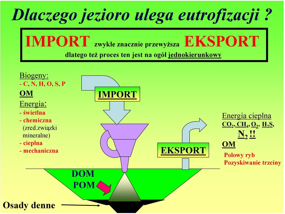 jednokierunkowy Biogeny: - C, N, H, O, S, P OM Energia: - świetlna - chemiczna (zred.