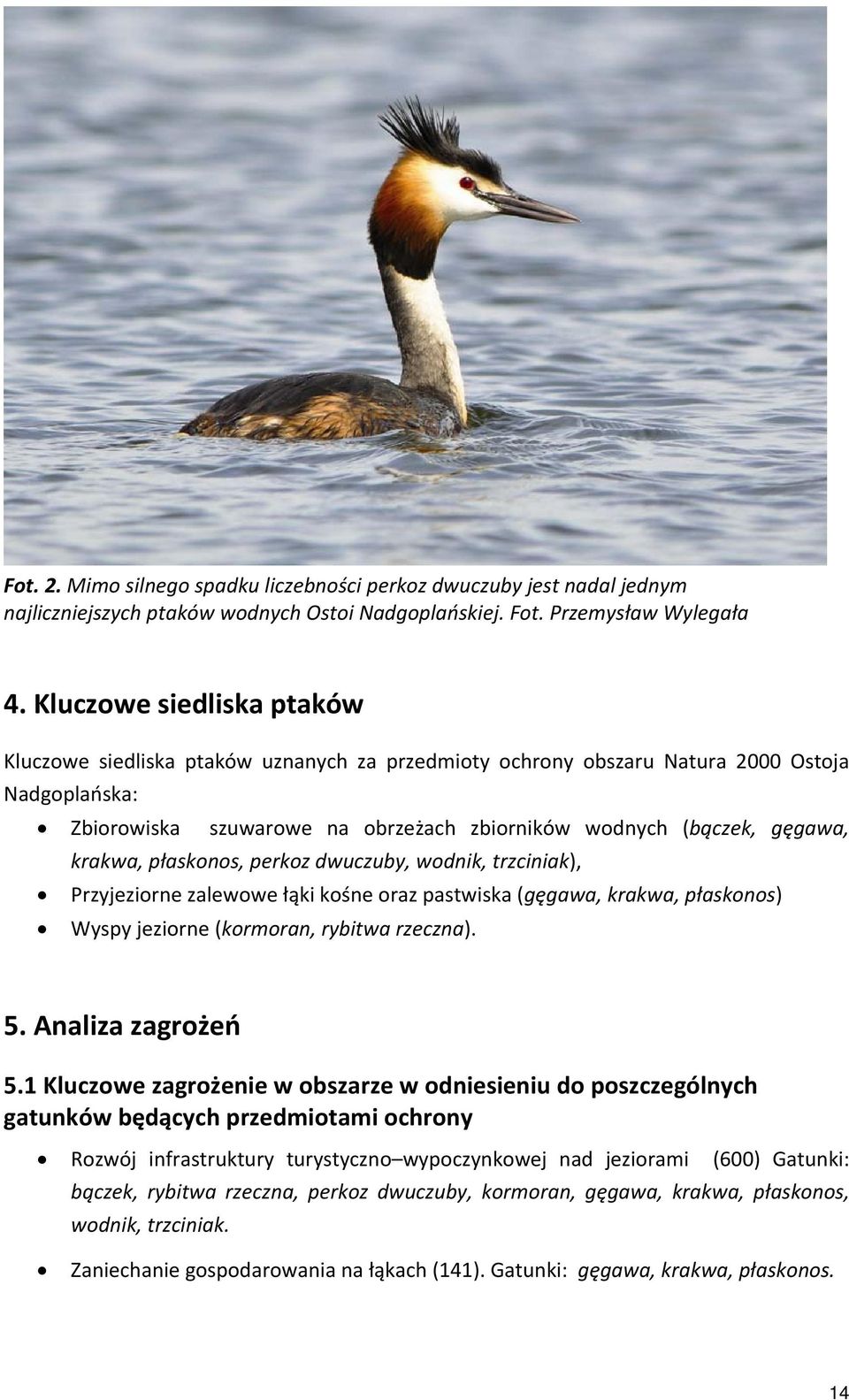 krakwa, płaskonos, perkoz dwuczuby, wodnik, trzciniak), Przyjeziorne zalewowe łąki kośne oraz pastwiska (gęgawa, krakwa, płaskonos) Wyspy jeziorne (kormoran, rybitwa rzeczna). 5. Analiza zagrożeń 5.