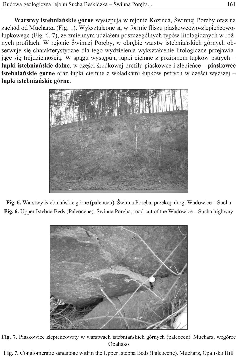 W rejonie Œwinnej Porêby, w obrêbie warstw istebniañskich górnych obserwuje siê charakterystyczne dla tego wydzielenia wykszta³cenie litologiczne przejawiaj¹ce siê trójdzielnoœci¹.