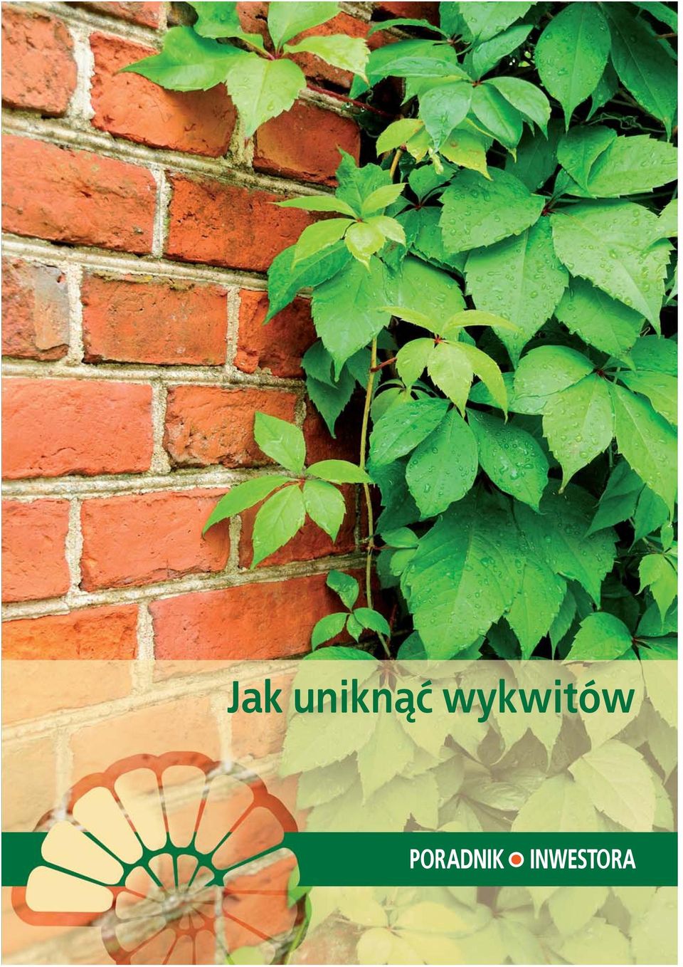 wykwitów