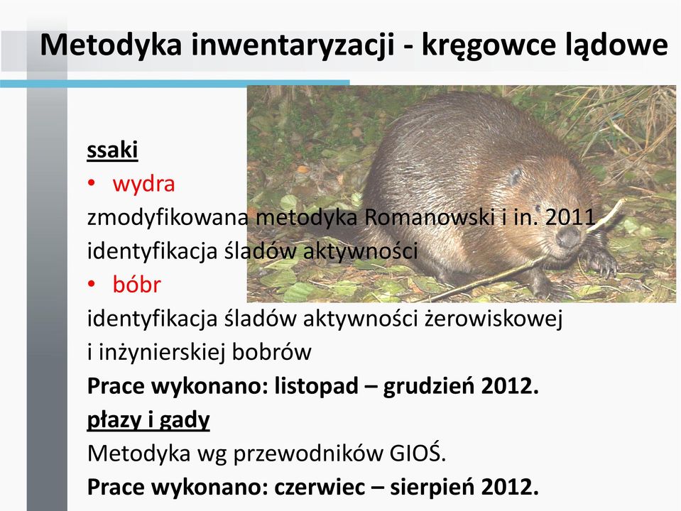 2011 identyfikacja śladów aktywności bóbr identyfikacja śladów aktywności