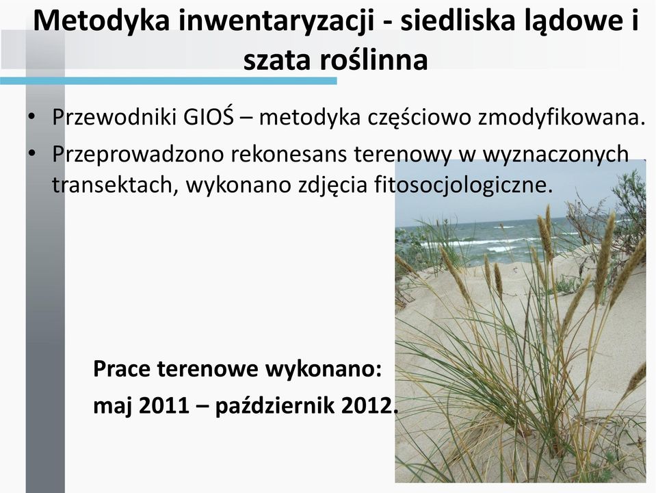 Przeprowadzono rekonesans terenowy w wyznaczonych transektach,