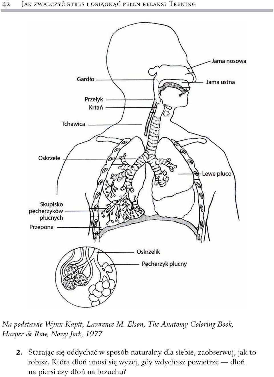 Elson, The Anatomy Coloring Book, Harper & Row, Nowy Jork, 1977 2.