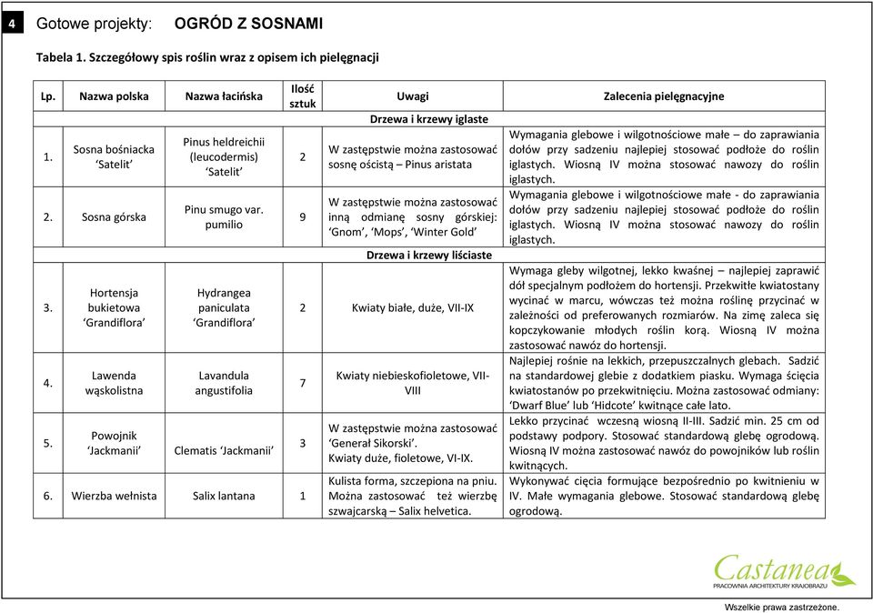 pumilio Hydrangea paniculata Grandiflora Lavandula angustifolia Clematis Jackmanii Ilośd sztuk 6.