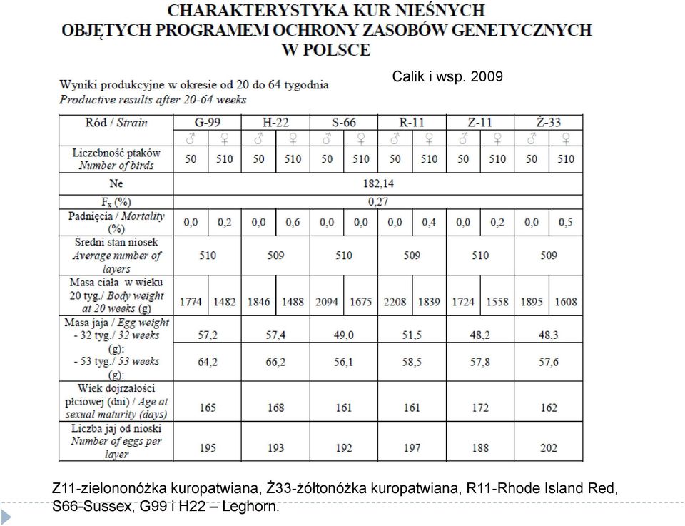 kuropatwiana, Ż33-żółtonóżka