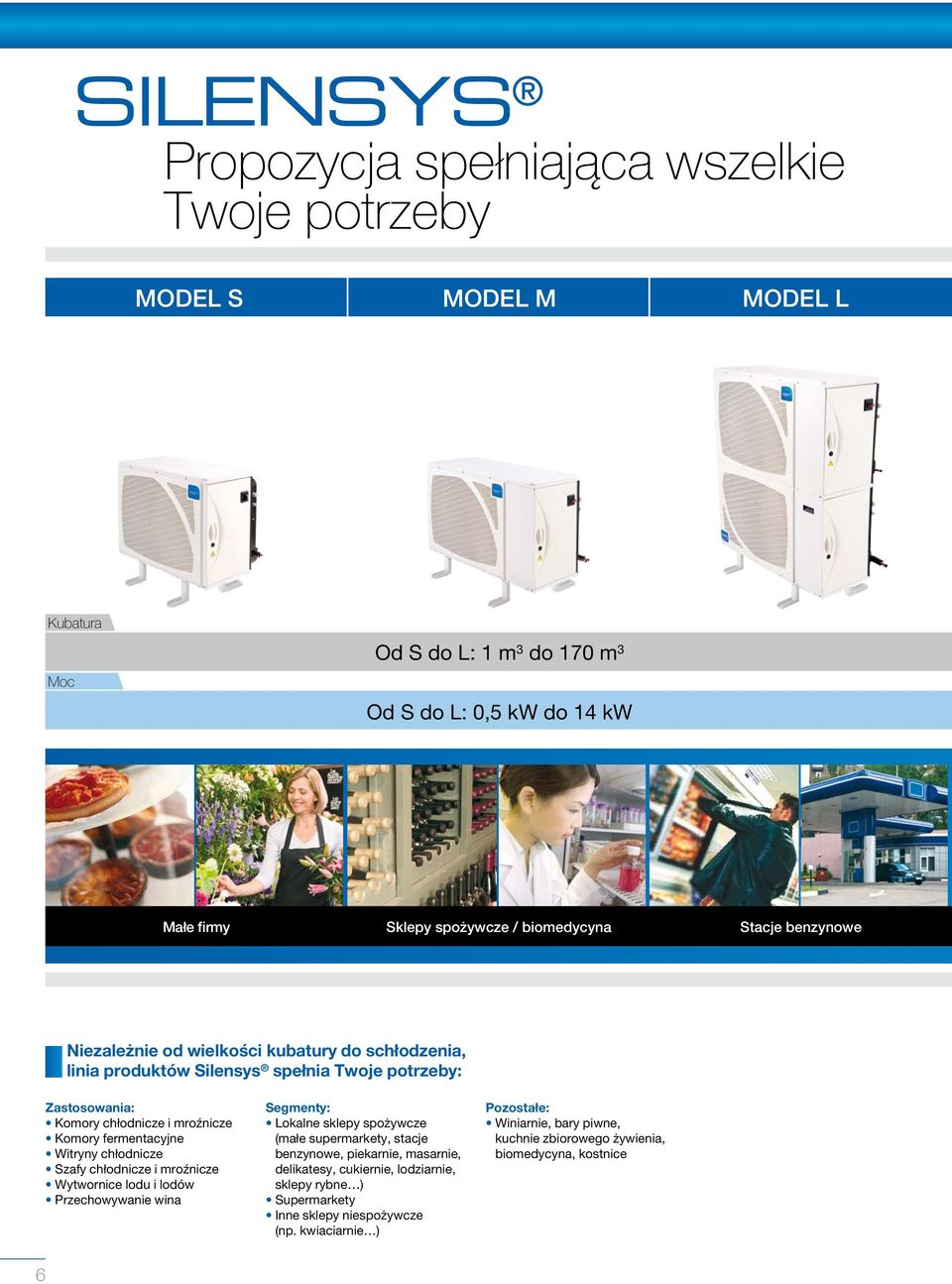 Witryny chłodnicze Szafy chłodnicze i mroźnicze Wytwornice lodu i lodów Przechowywanie wina Segmenty: Lokalne sklepy spożywcze (małe supermarkety, stacje benzynowe, piekarnie, masarnie,