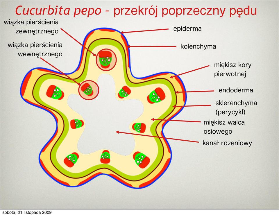 przekrój