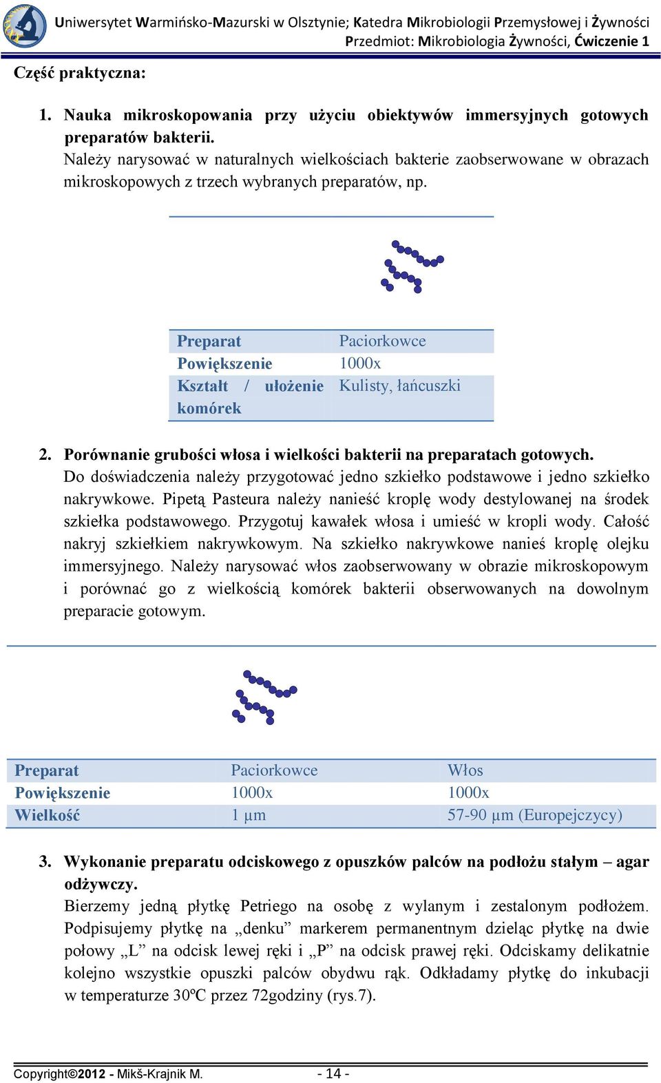 Preparat Powiększenie Kształt / ułożenie komórek Paciorkowce 1000x Kulisty, łańcuszki 2. Porównanie grubości włosa i wielkości bakterii na preparatach gotowych.