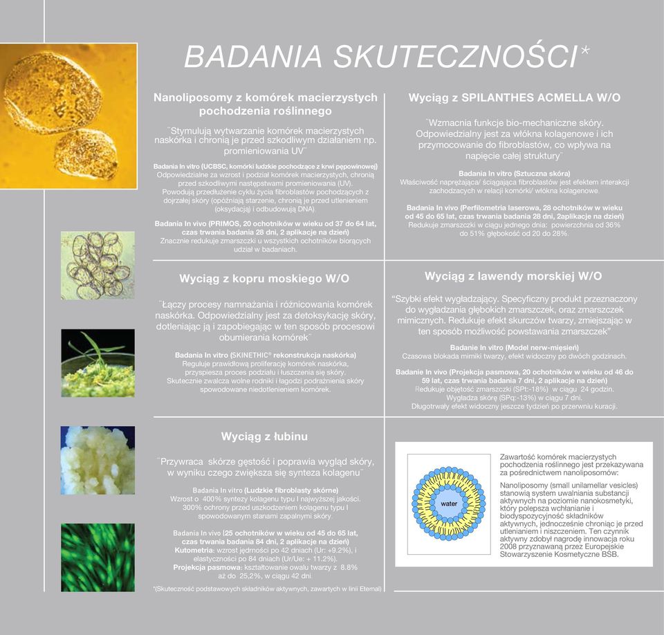 promieniowania (UV). Powodują przedłużenie cyklu życia fibroblastów pochodzących z dojrzałej skóry (opóźniają starzenie, chronią je przed utlenieniem (oksydacją) i odbudowują DNA).