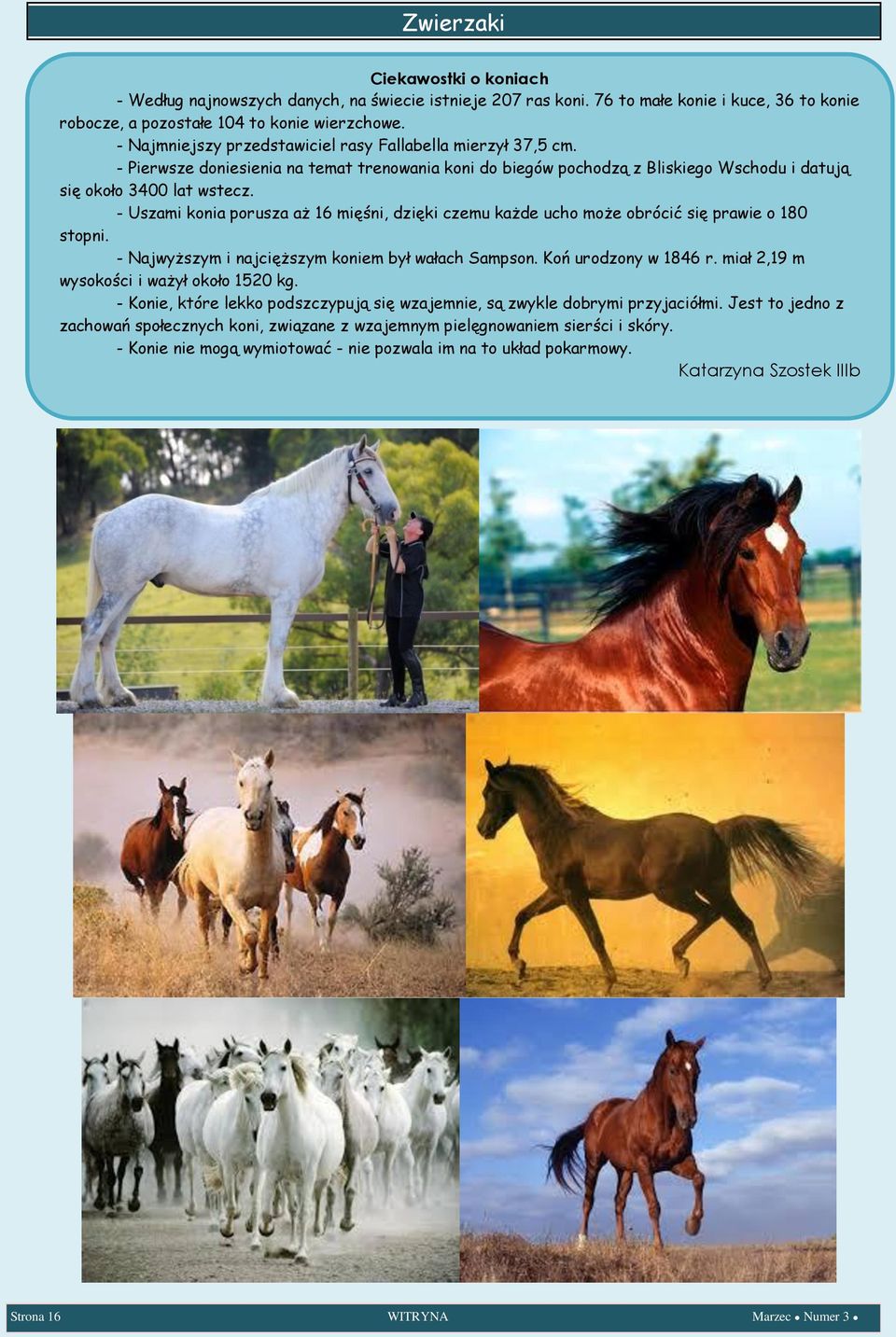 - Pierwsze doniesienia na temat trenowania koni do biegów pochodzą z Bliskiego Wschodu i datują się około 3400 lat wstecz.