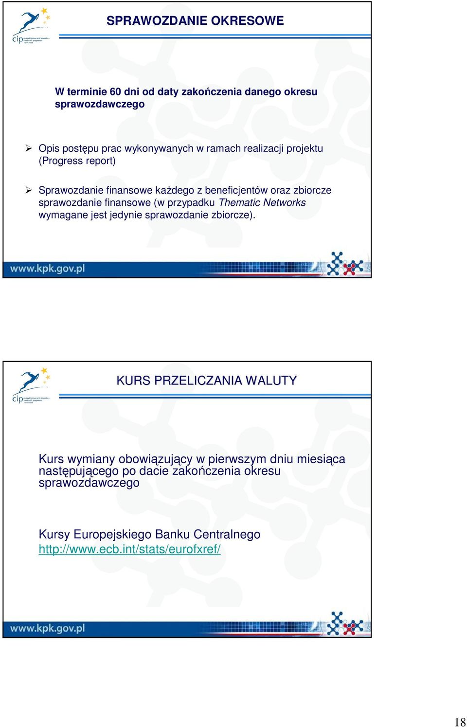 Thematic Networks wymagane jest jedynie sprawozdanie zbiorcze).