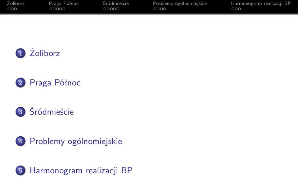 Problemy ogólnomiejskie