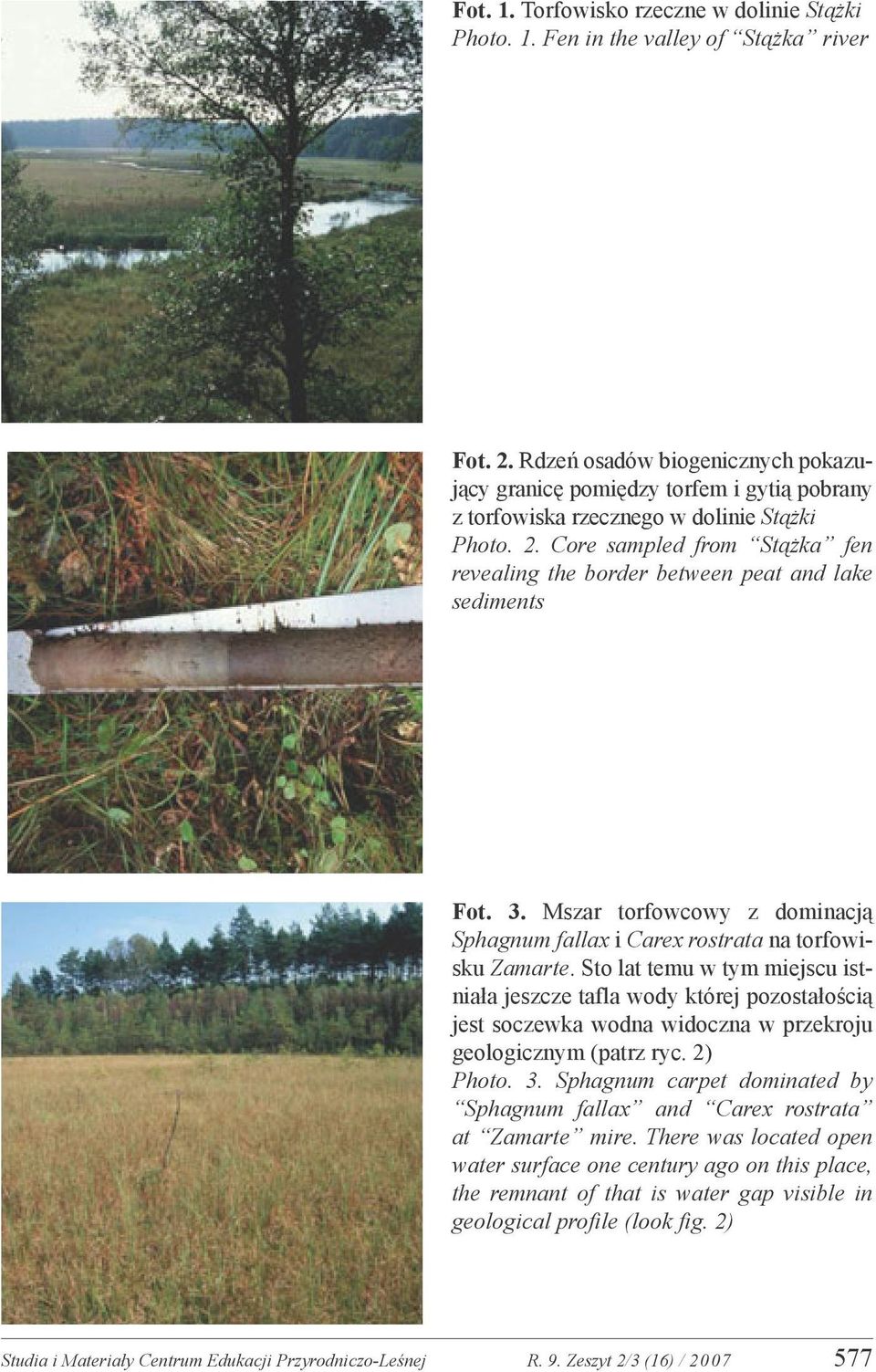 Core sampled from Stążka fen revealing the border between peat and lake sediments Fot. 3. Mszar torfowcowy z dominacją Sphagnum fallax i Carex rostrata na torfowisku Zamarte.