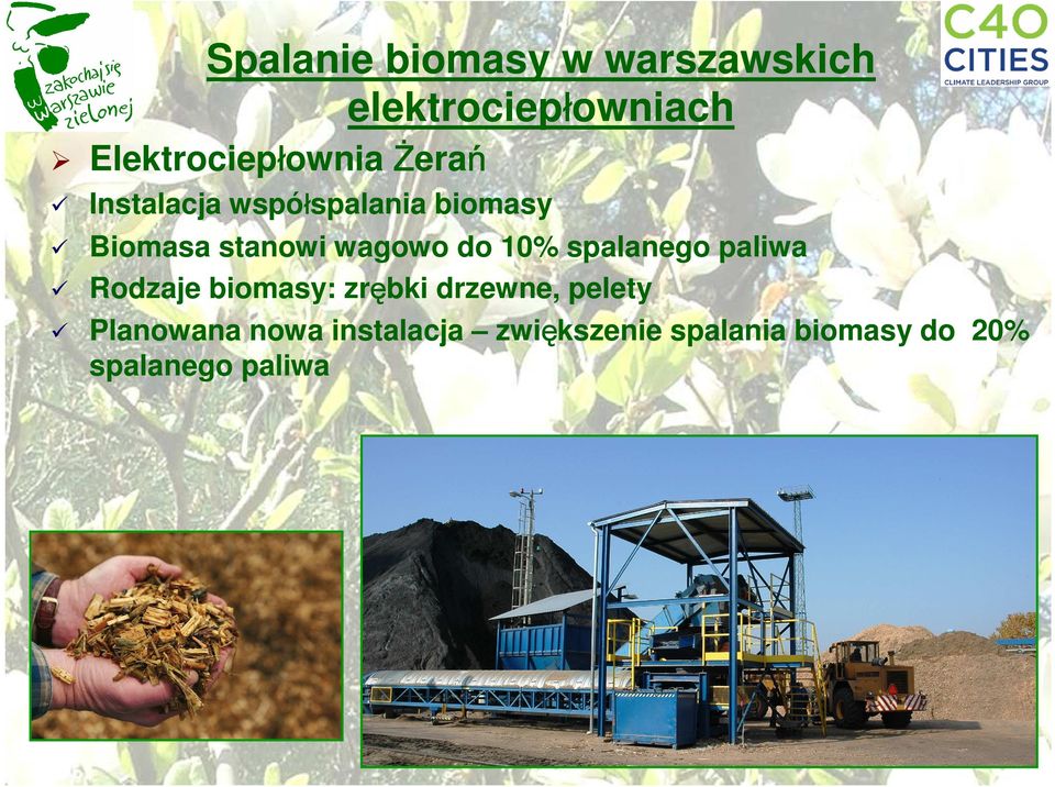 stanowi wagowo do 10% spalanego paliwa Rodzaje biomasy: zrębki