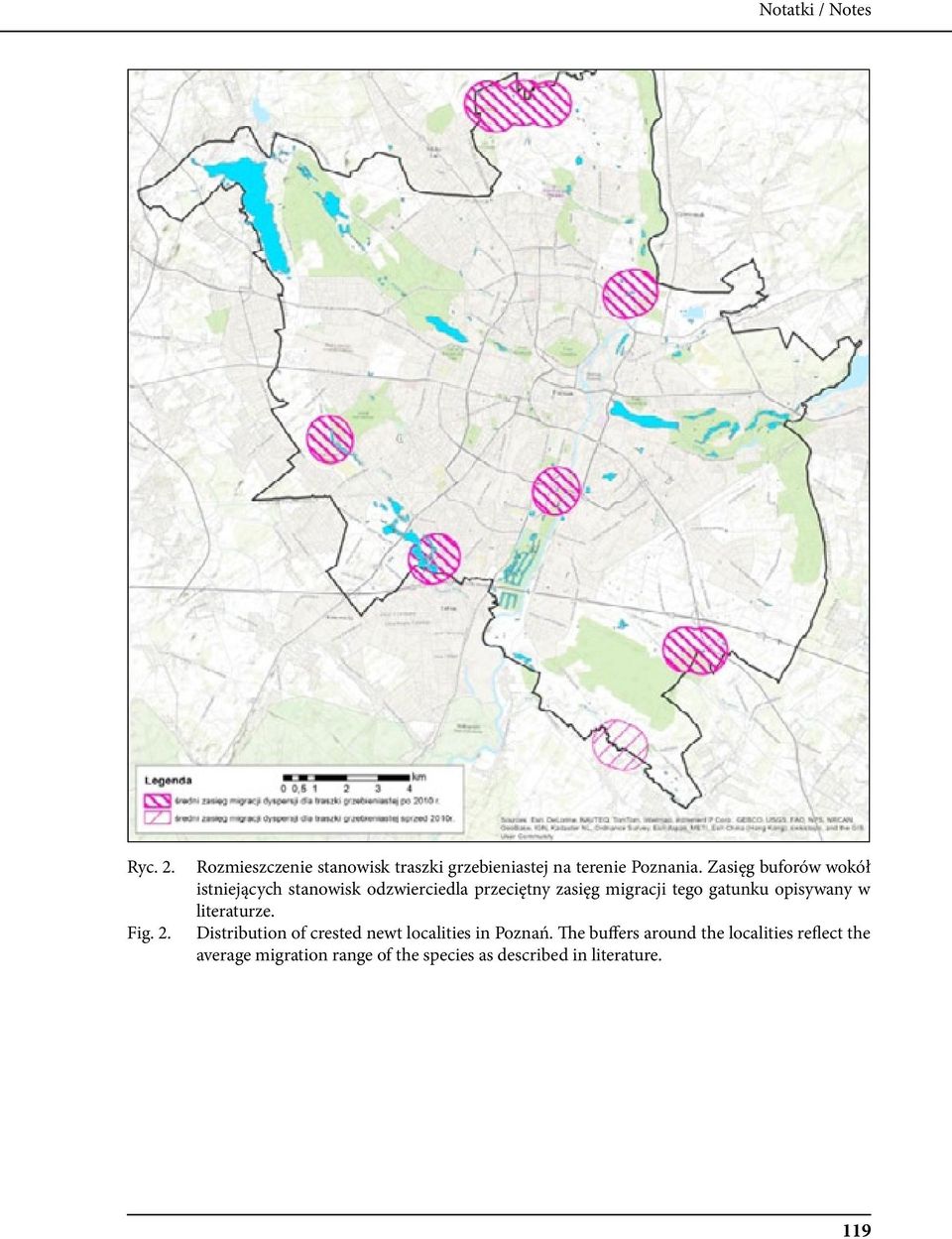 gatunku opisywany w literaturze. Distribution of crested newt localities in Poznań.