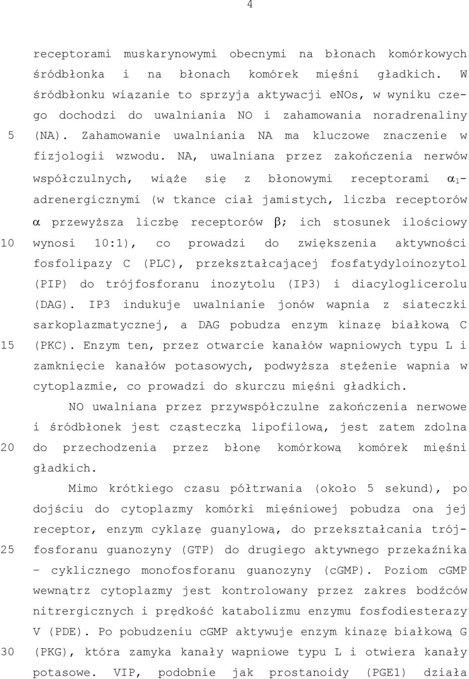 NA, uwalniana przez zakończenia nerwów współczulnych, wiąże się z błonowymi receptorami α 1 - adrenergicznymi (w tkance ciał jamistych, liczba receptorów α przewyższa liczbę receptorów β; ich