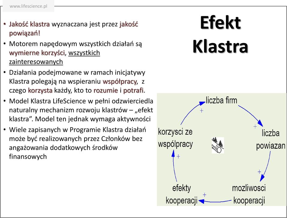 polegają na wspieraniu współpracy, z czego korzysta każdy, kto to rozumie i potrafi.