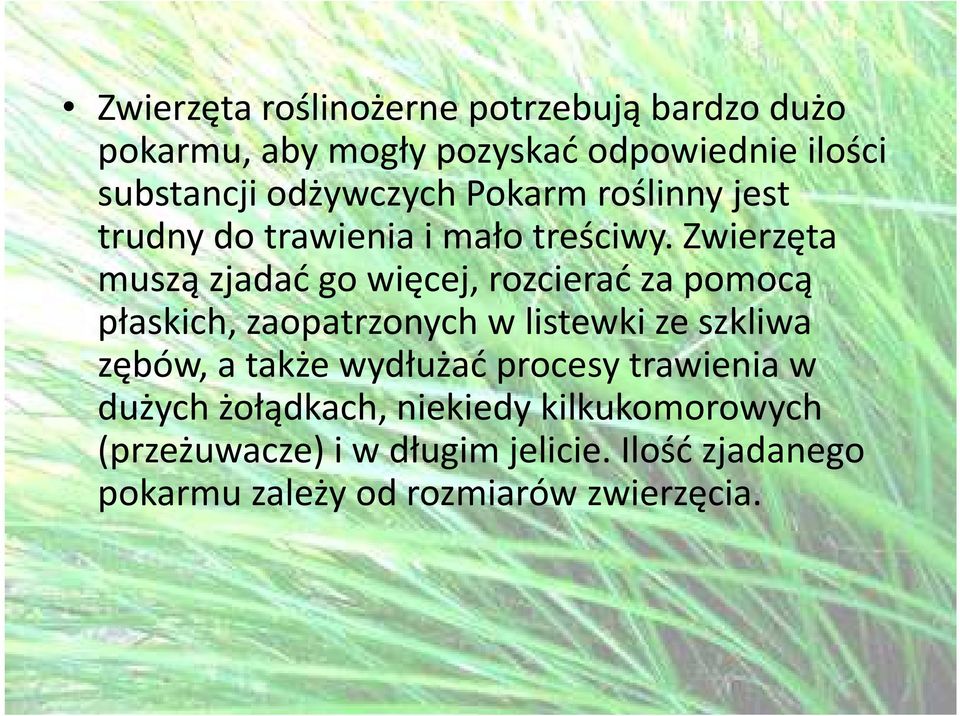 Zwierzęta muszą zjadać go więcej, rozcierać za pomocą płaskich, zaopatrzonych w listewki ze szkliwa zębów, a