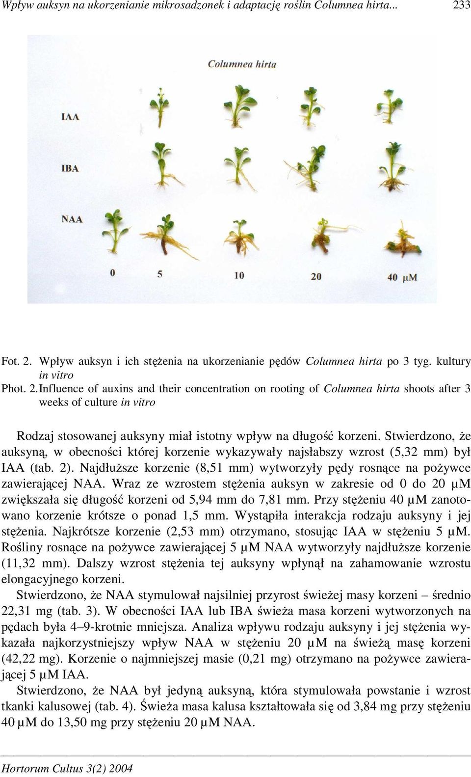 Stwierdzono, e auksyn, w obecno ci której korzenie wykazywały najsłabszy wzrost (5,32 mm) był IAA (tab. 2). Najdłu sze korzenie (8,51 mm) wytworzyły p dy rosn ce na po ywce zawieraj cej NAA.