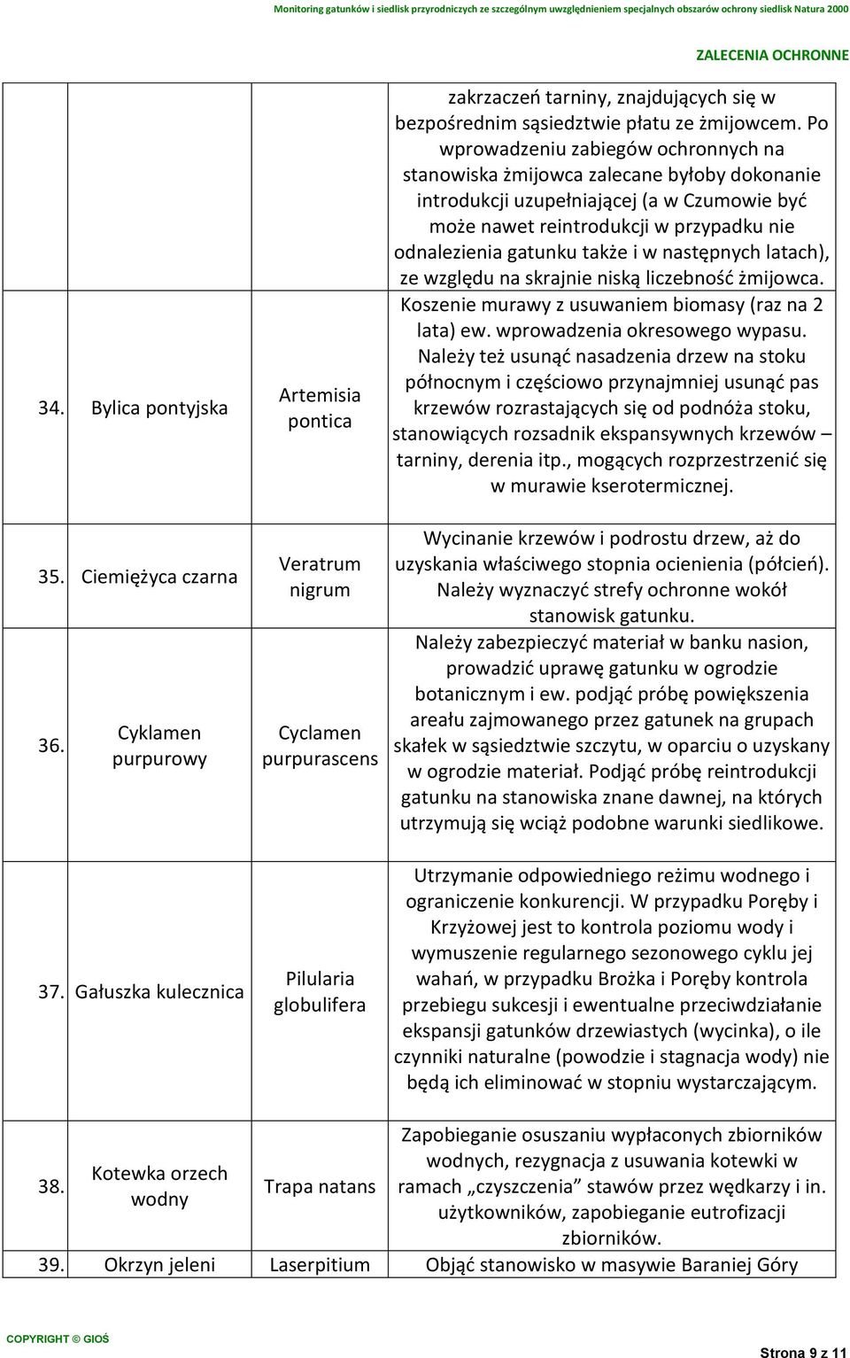 Po wprowadzeniu zabiegów ochronnych na stanowiska żmijowca zalecane byłoby dokonanie introdukcji uzupełniającej (a w Czumowie być może nawet reintrodukcji w przypadku nie odnalezienia gatunku także i