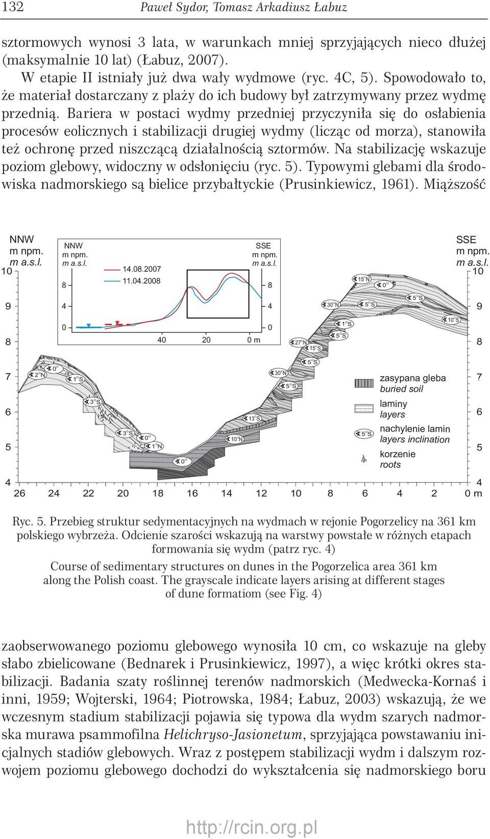 Bariera w postaci wydmy przedniej przyczyniła się do osłabienia procesów eolicznych i stabilizacji drugiej wydmy (licząc od morza), stanowiła też ochronę przed niszczącą działalnością sztormów.