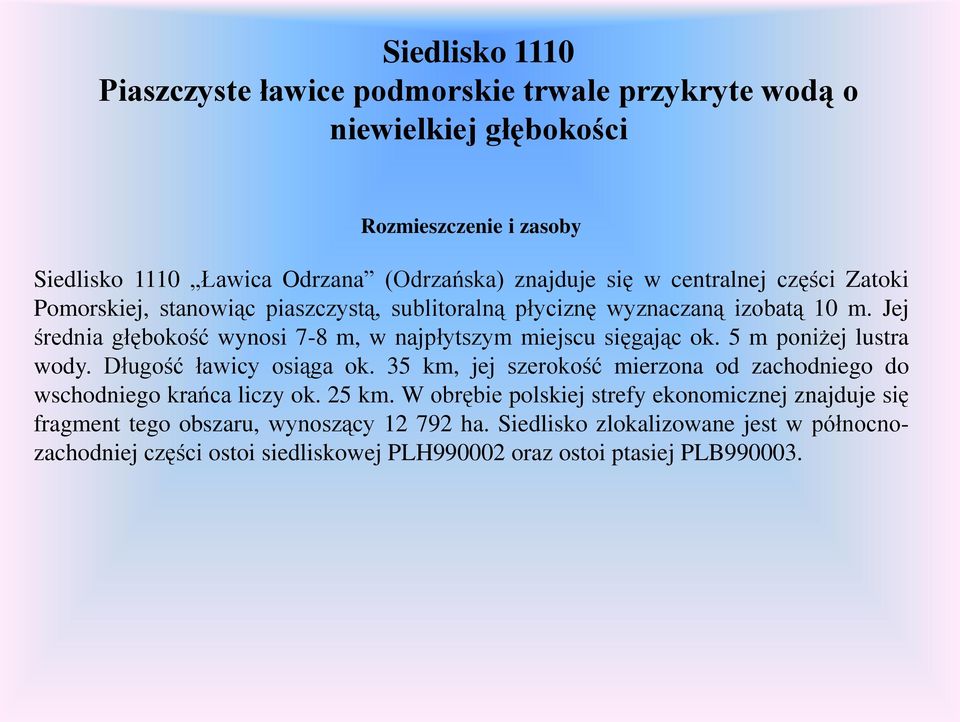 Jej średnia głębokość wynosi 7-8 m, w najpłytszym miejscu sięgając ok. 5 m poniżej lustra wody. Długość ławicy osiąga ok.