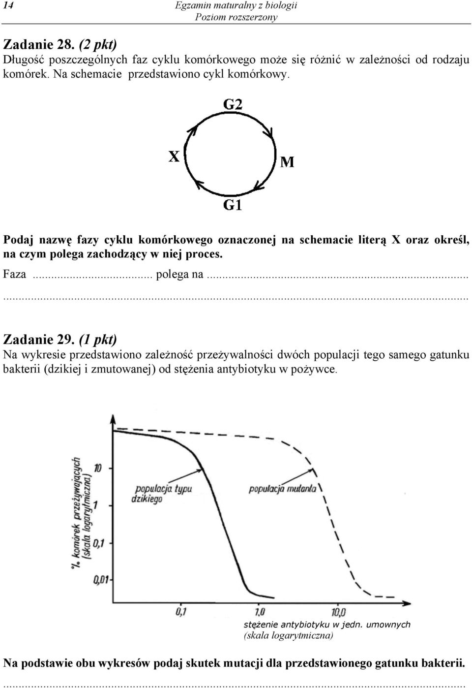 Faza... polega na... Zadanie 29.