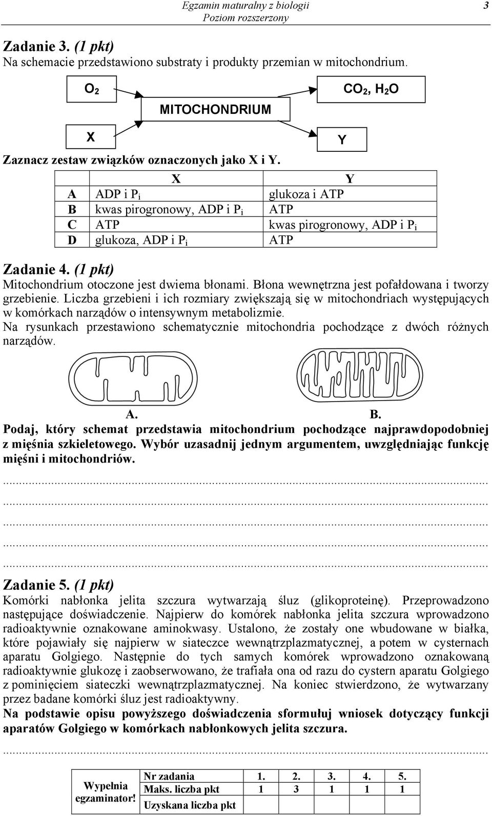 X Y A ADP i P i glukoza i ATP B kwas pirogronowy, ADP i P i ATP C ATP kwas pirogronowy, ADP i P i D glukoza, ADP i P i ATP Zadanie 4. (1 pkt) Mitochondrium otoczone jest dwiema błonami.