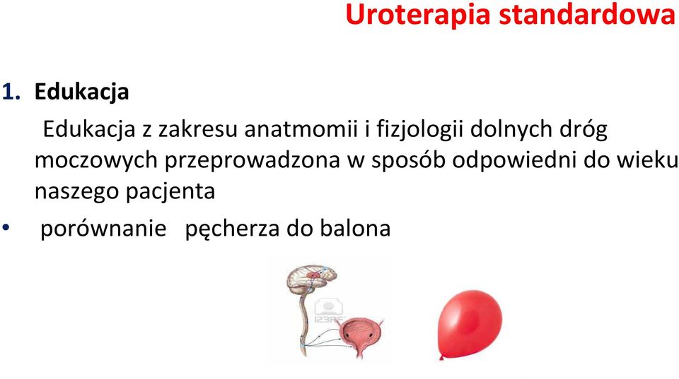 fizjologii dolnych dróg moczowych