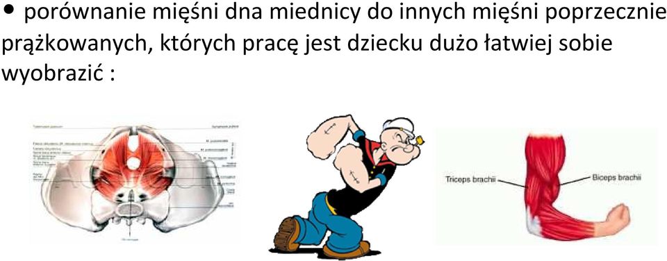 prążkowanych, których pracęjest