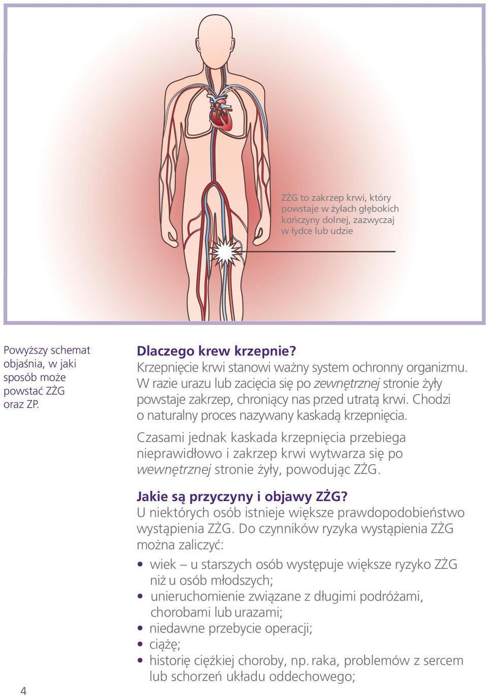 Chodzi o naturalny proces nazywany kaskadą krzepnięcia. Czasami jednak kaskada krzepnięcia przebiega nieprawidłowo i zakrzep krwi wytwarza się po wewnętrznej stronie żyły, powodując ZŻG.