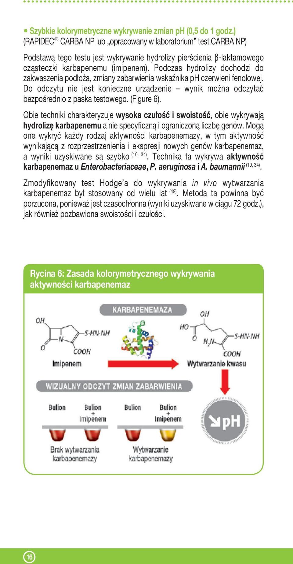 Podczas hydrolizy dochodzi do zakwaszenia podłoża, zmiany zabarwienia wskaźnika ph czerwieni fenolowej. Do odczytu nie jest konieczne urządzenie wynik można odczytać bezpośrednio z paska testowego.