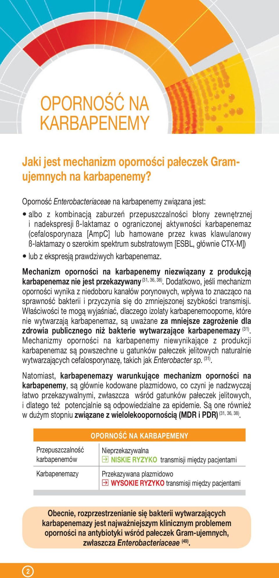 (cefalosporynaza [AmpC] lub hamowane przez kwas klawulanowy ß-laktamazy o szerokim spektrum substratowym [ESBL, głównie CTX-M]) lub z ekspresją prawdziwych karbapenemaz.