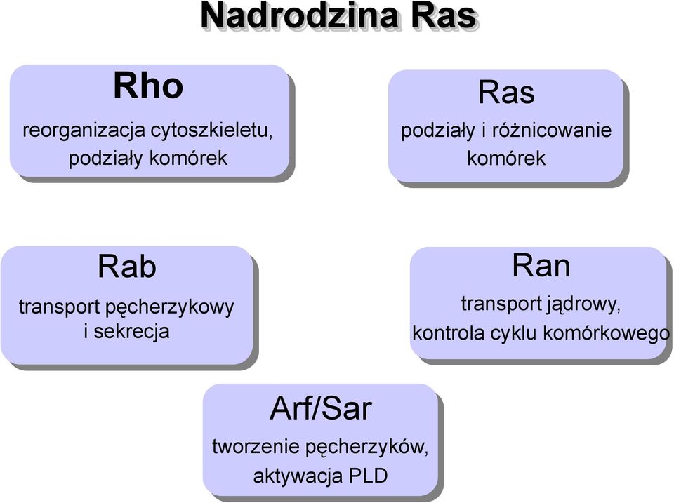 pęcherzykowy i sekrecja Ran transport jądrowy, kontrola