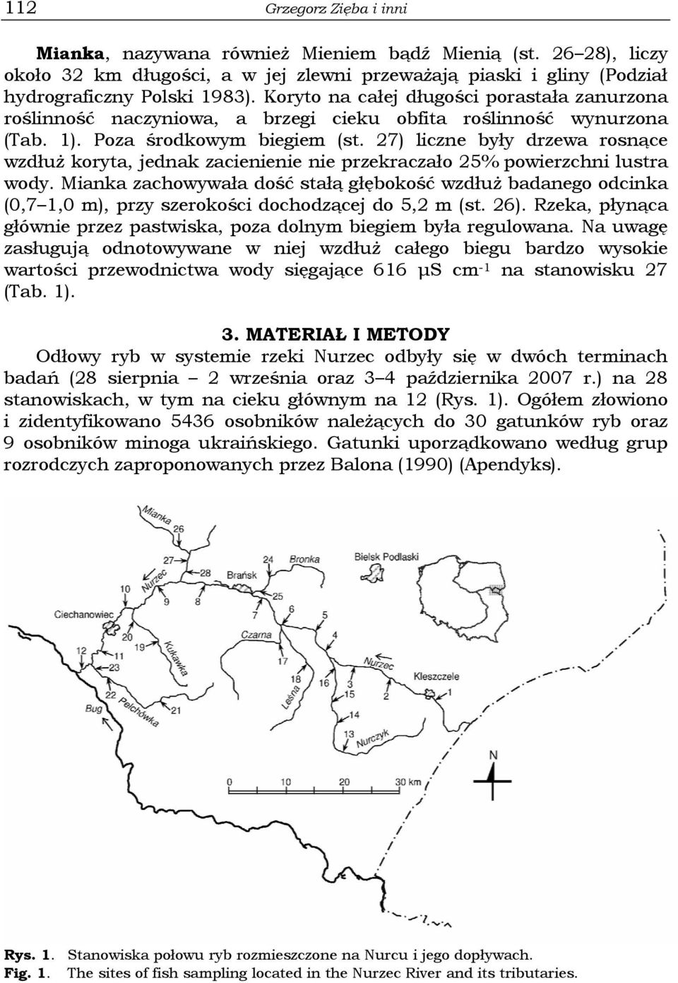 27) liczne były drzewa rosnące wzdłuż koryta, jednak zacienienie nie przekraczało 25% powierzchni lustra wody.