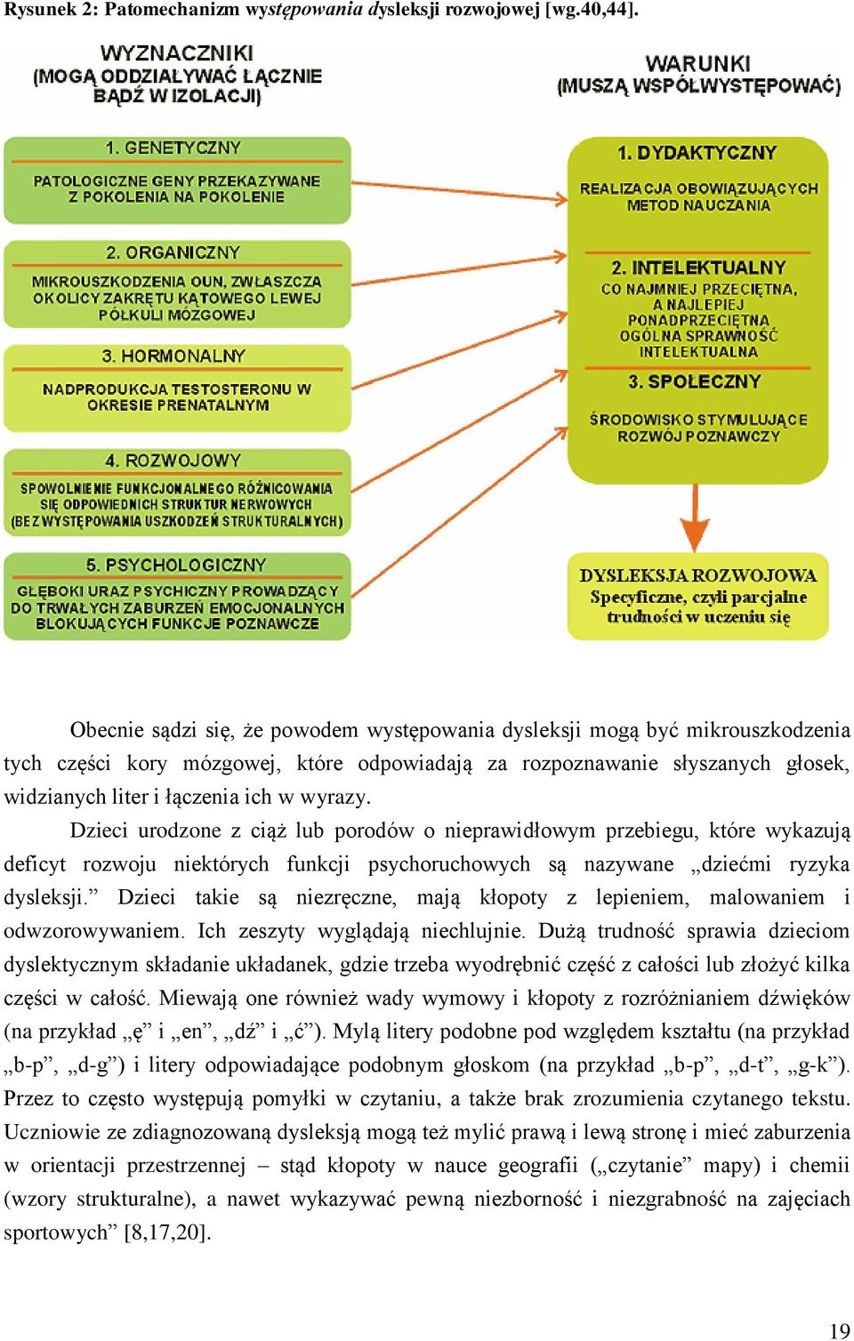 wyrazy. Dzieci urodzone z ciąż lub porodów o nieprawidłowym przebiegu, które wykazują deficyt rozwoju niektórych funkcji psychoruchowych są nazywane dziećmi ryzyka dysleksji.