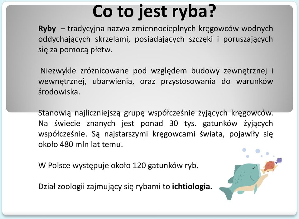 Niezwykle zróżnicowane pod względem budowy zewnętrznej i wewnętrznej, ubarwienia, oraz przystosowania do warunków środowiska.