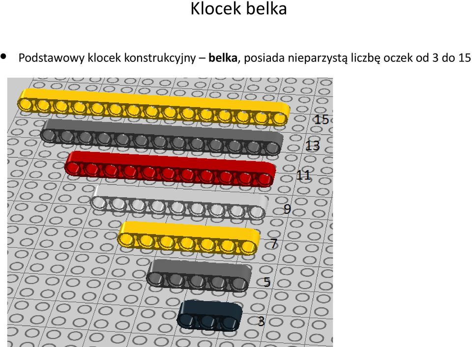 belka, posiada